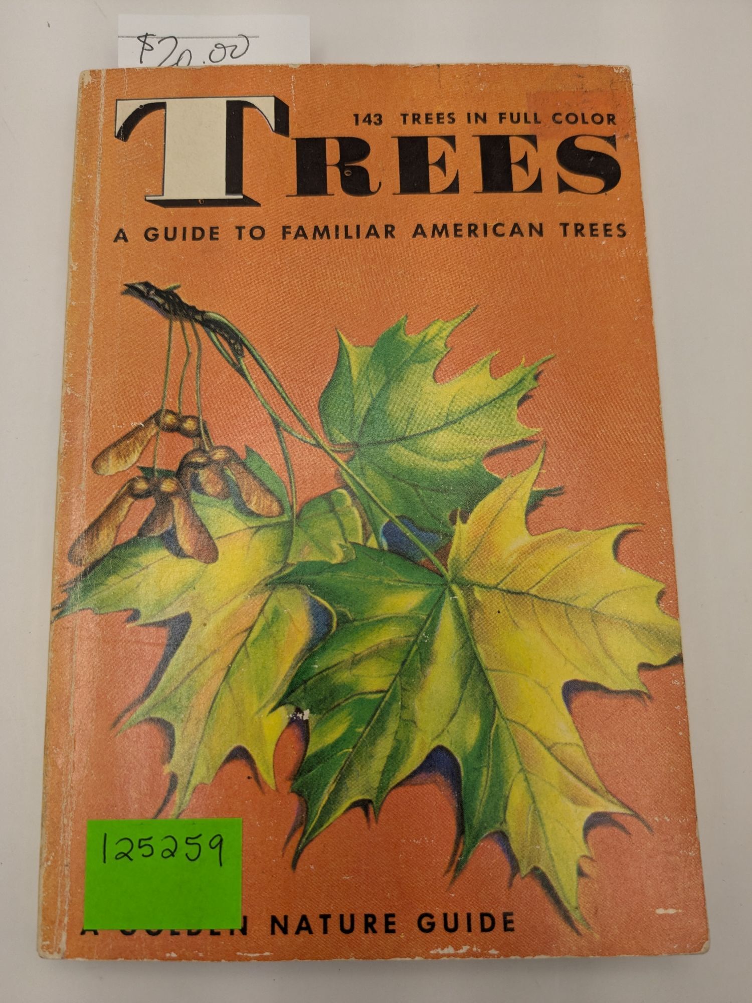 Trees: A Guide to Familiar American Trees A Golden Nature Guide ...