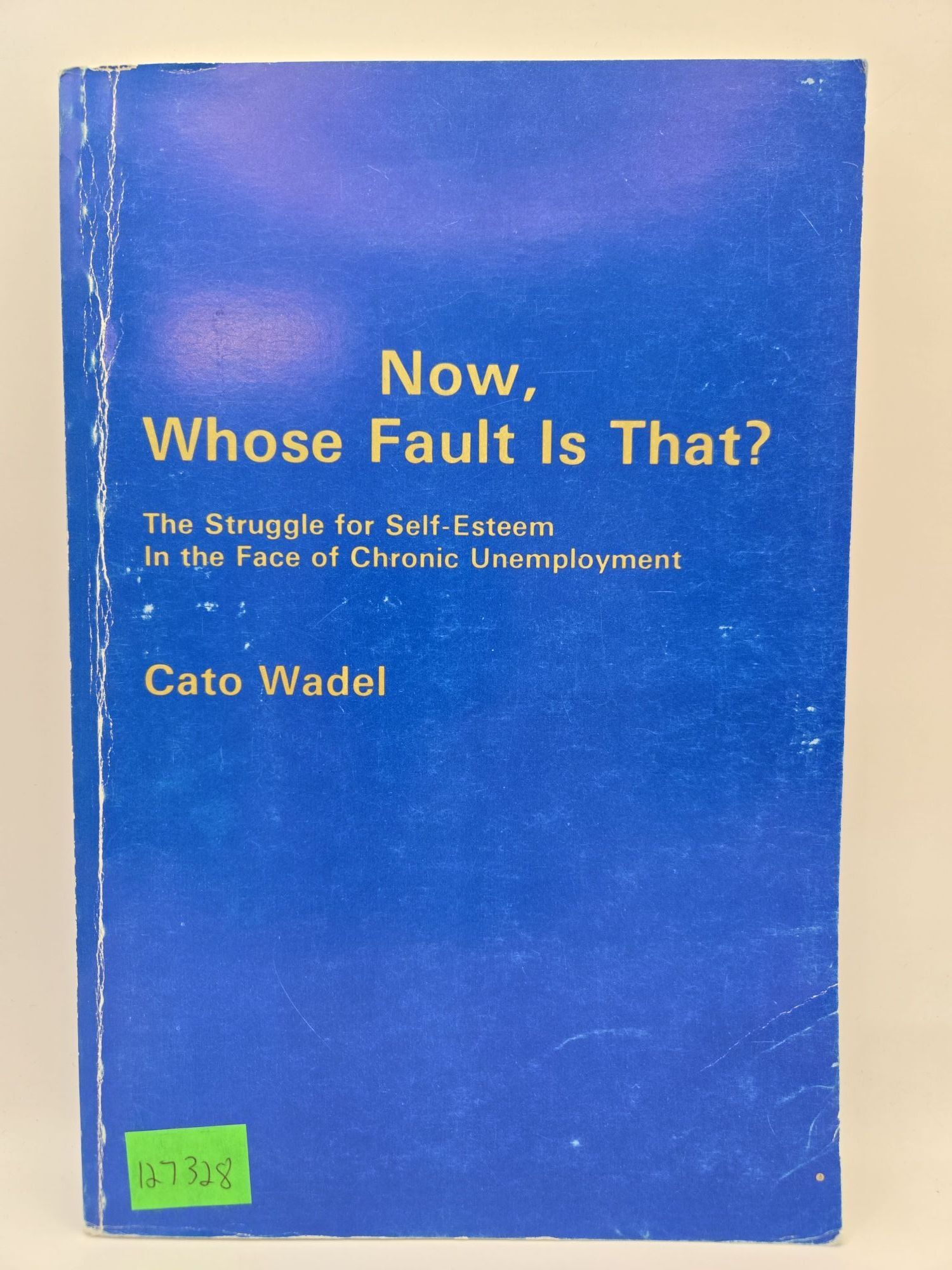 Now, Whose Fault Is That?: The Struggle for Self-Esteem in the Face of ...