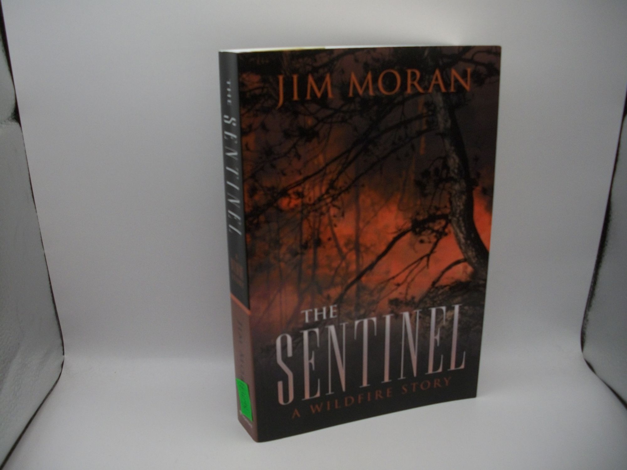 The Sentinel: A Wildfire Story | Jim Moran